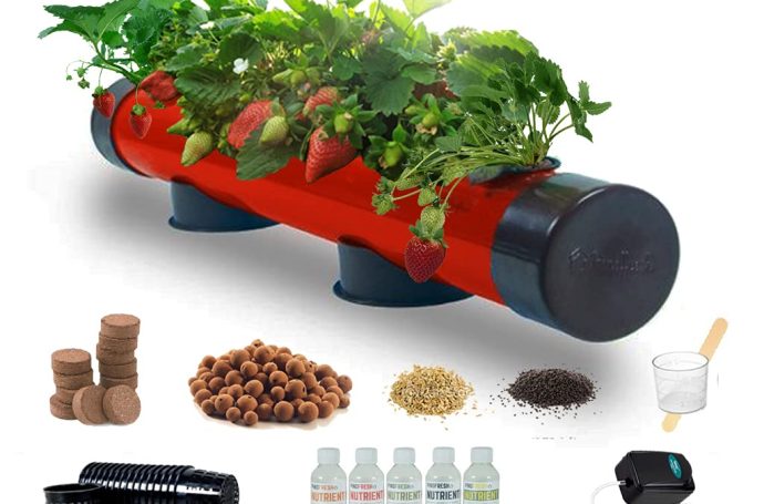 Hydroponic Growing Kits for Home