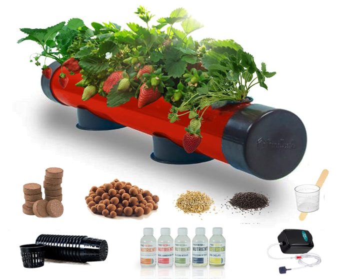 Hydroponic Growing Kits for Home