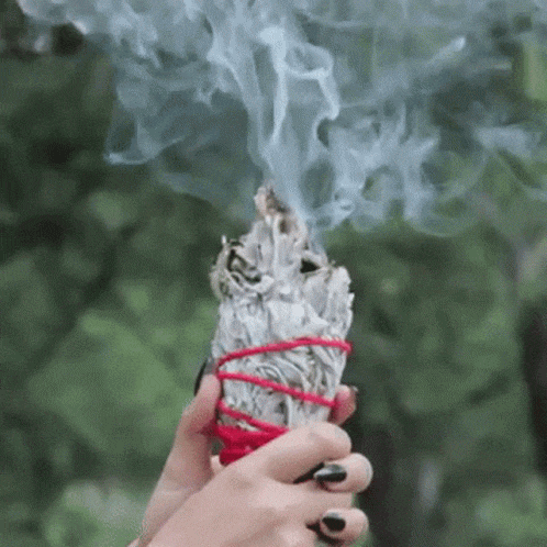 SAGE LEAVES BUNDLES FOR SMUDGING CLEANSING PURIFYING YOUR SPACE
